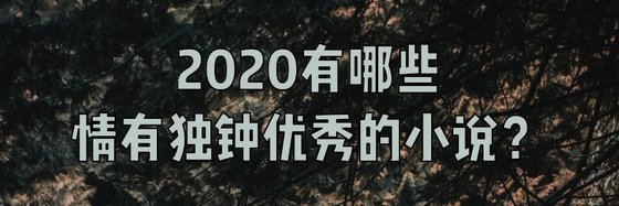 2020有哪些情有独钟优秀的小说？